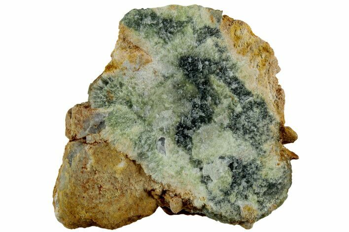 Radiating, Green Wavellite Crystal Aggregation - Arkansas #213312